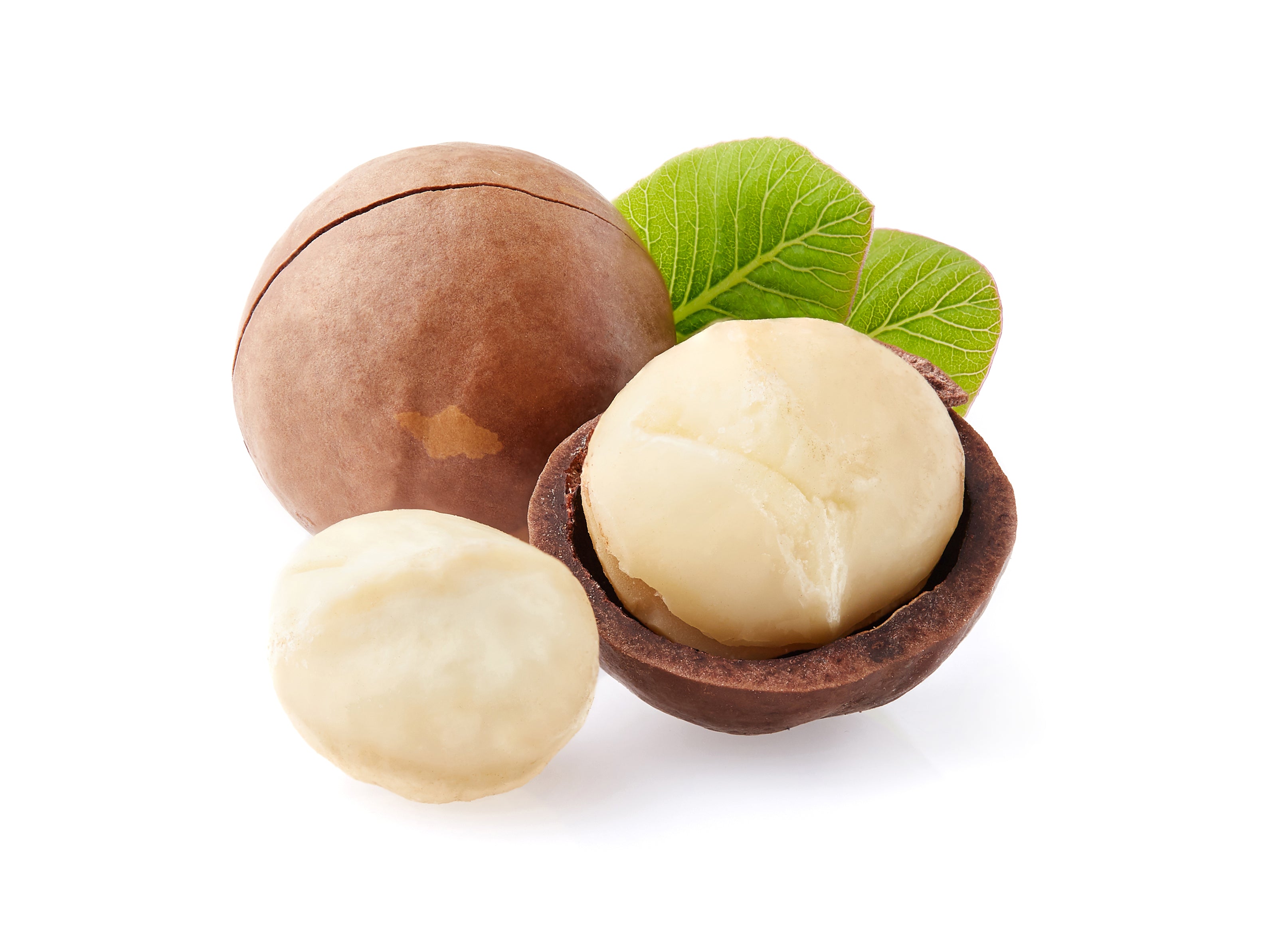 Macadamia Macadamia Nuts – Greencube International